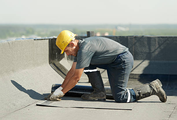 Best Cellulose Insulation  in Flint Hill, MO