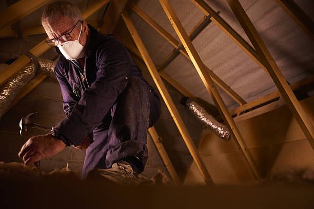 Best Fiberglass Insulation  in Flint Hill, MO